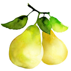 Similar image 8466875