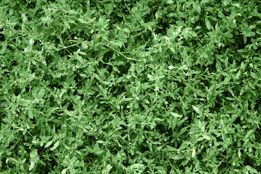 Similar image 8466932