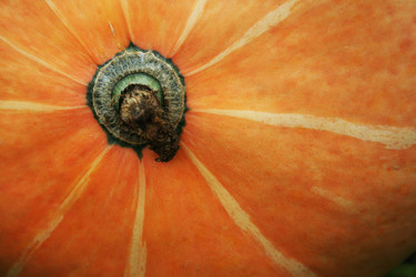 Similar image 8466938