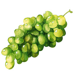 Similar image 8466941