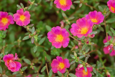 Similar image 8466950