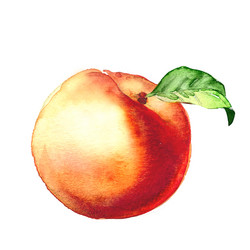 Similar image 8466992