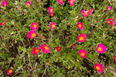 Similar image 8467008