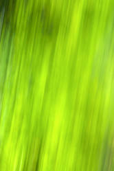 Similar image 8467050