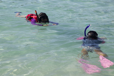 Similar image 8467136