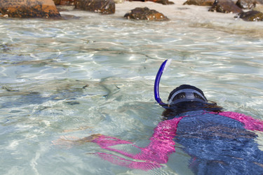 Similar image 8467137