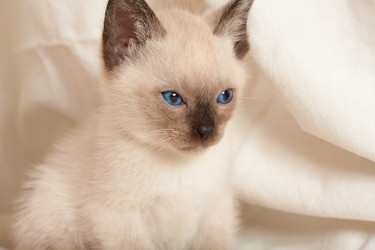 Similar image 8467332