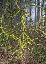 Similar image 8467359