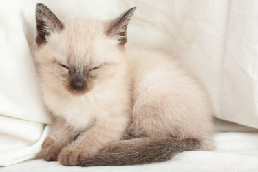 Similar image 8467401