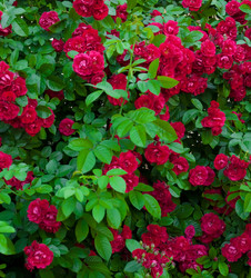 Similar image 8467491