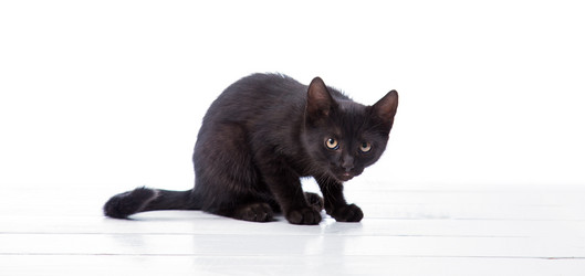 Similar image 8467615