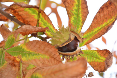 Similar image 8467799