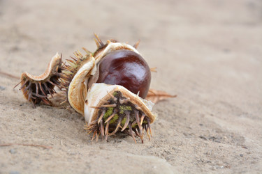 Similar image 8467803