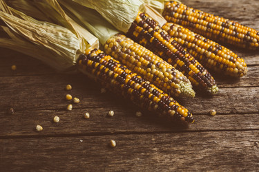 Similar image 8467900