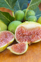 Similar image 8467910