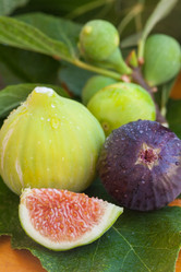 Similar image 8467914