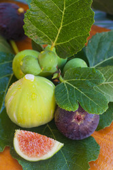 Similar image 8467925