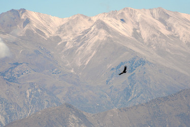 Similar image 8468018