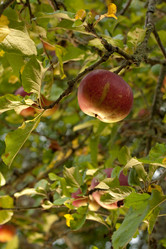 Similar image 8468036