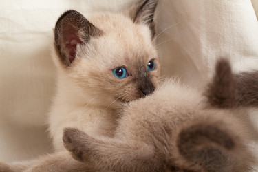 Similar image 8468040