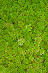 Similar image 8468044