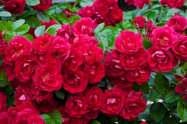 Similar image 8468052