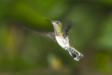 Similar image 8468057