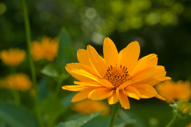 Similar image 8468077