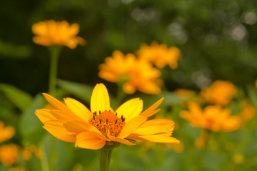 Similar image 8468080