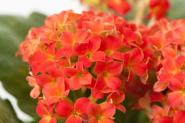 Similar image 8468085