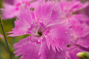 Similar image 8468086