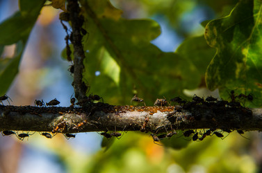 Similar image 8468151