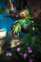 Similar image 8468355