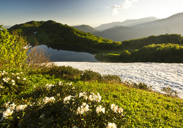 Similar image 8468379