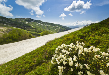 Similar image 8468388