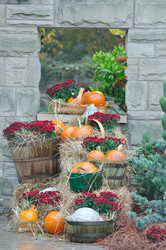 Similar image 8468396