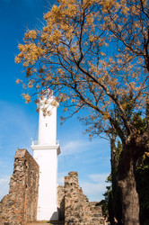 Similar image 8468404