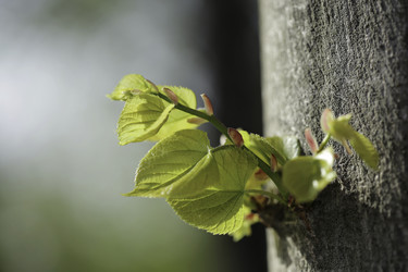 Similar image 8468435