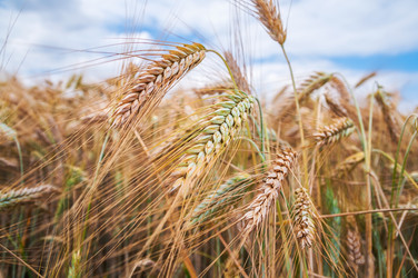 Similar image 8468490