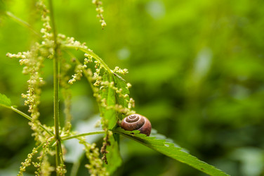 Similar image 8468493