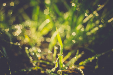 Similar image 8468500