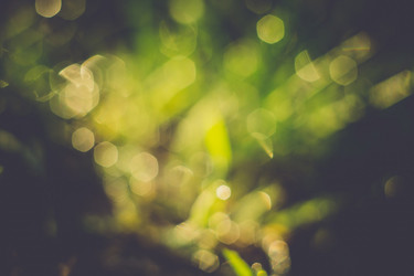 Similar image 8468501