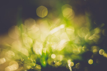 Similar image 8468502