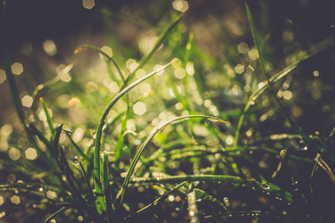 Similar image 8468503