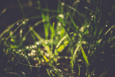 Similar image 8468504