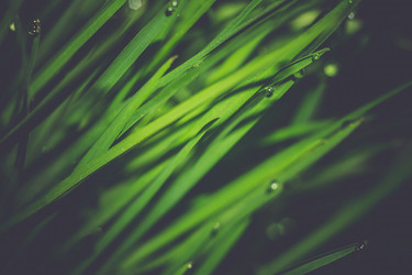 Similar image 8468515