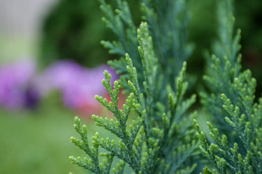 Similar image 8468558