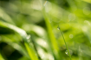 Similar image 8468562