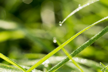 Similar image 8468575