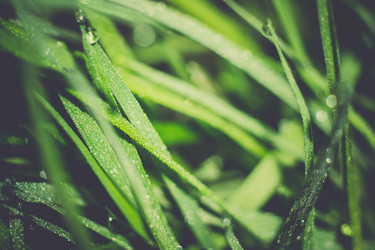 Similar image 8468576